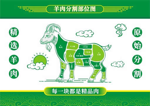 羊肉分割图