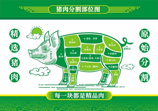 豬肉分割部位圖