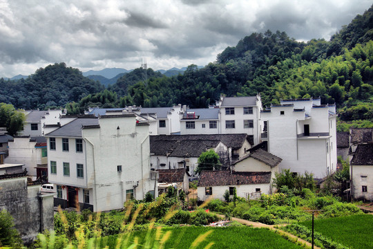 江西村庄田野