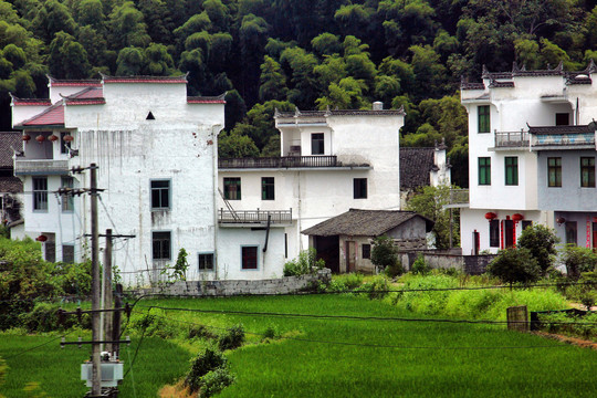 江西村庄田野