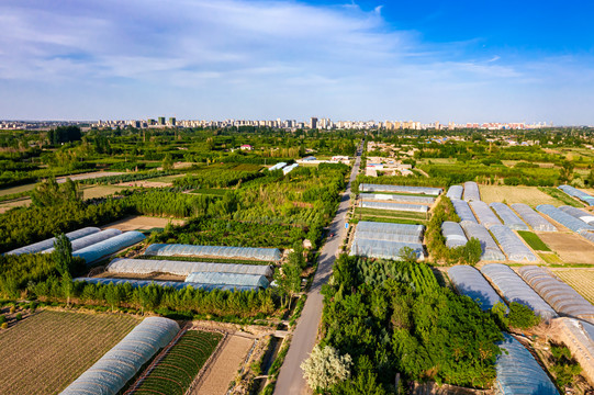 农业城市郊区