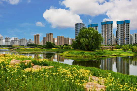 城市楼群风景