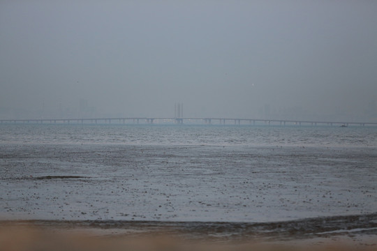 胶州湾湿地