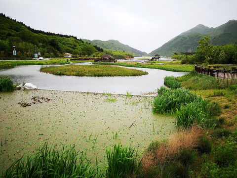 湿地公园