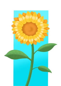 向日葵插畫