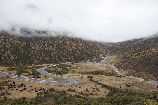 甘孜州蜿蜒川藏公路