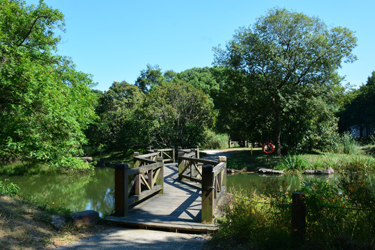 小桥流水绿树