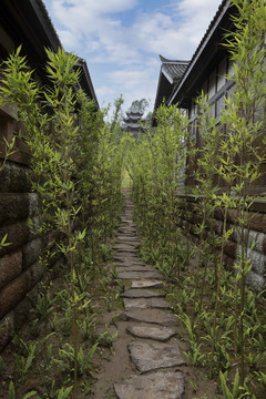 蓝天白云竹林石板地面