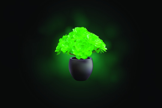玉龍觀音蓮花掌盆栽