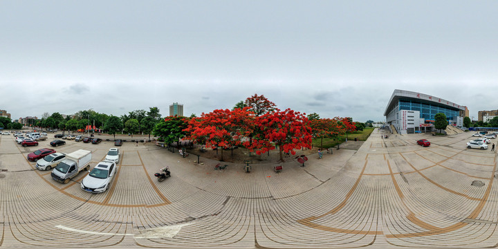 凤凰花开的季节720度全景