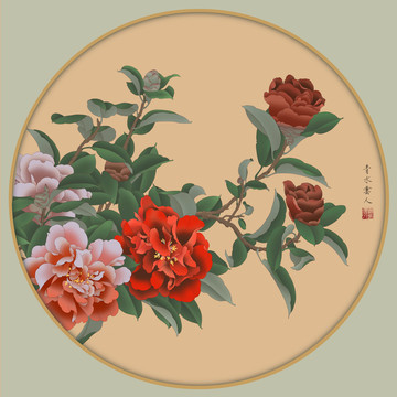 山茶花工筆手繪