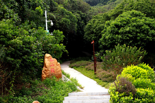 公园登山道