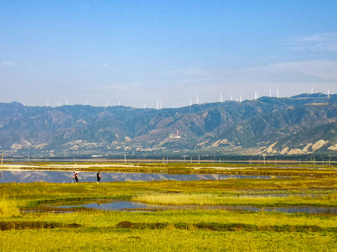 盐湖湿地