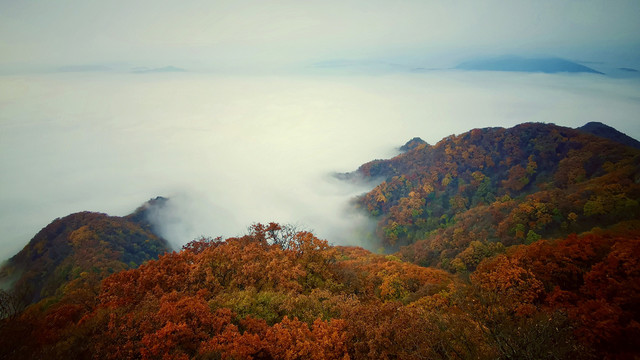 云海茫茫融枫山