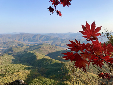 万山鸟瞰寻红叶