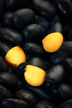营养健康的黑豆