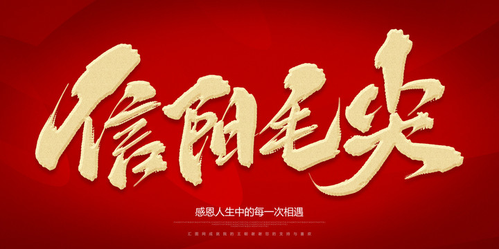 信陽毛尖
