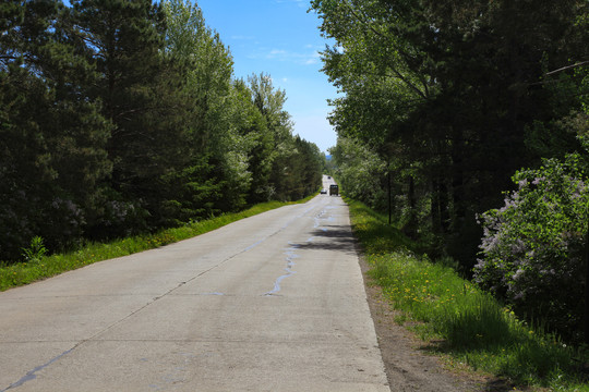 公路乡间路路边野花