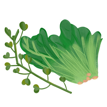 手繪菠菜