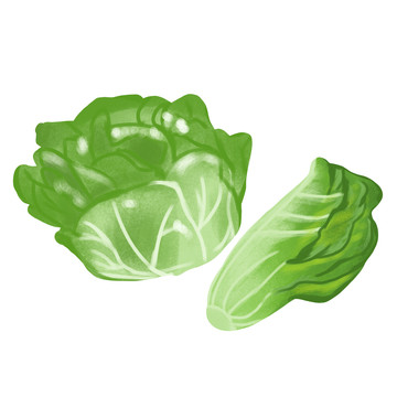 手繪生菜
