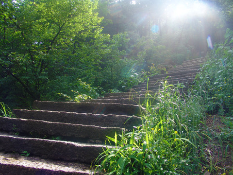 山林小路