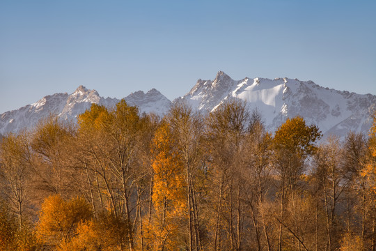 肃南祁连雪山