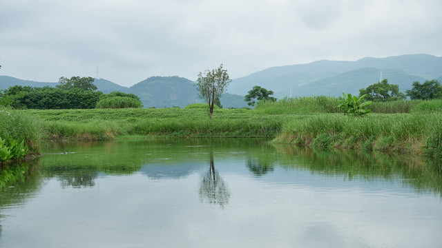 杭州良渚遗址公园