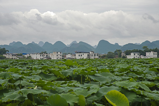 新农村环境