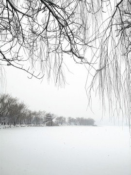 雪景