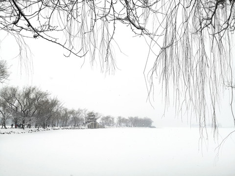 雪景