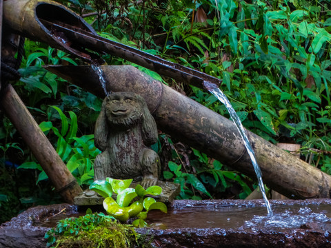 水渠