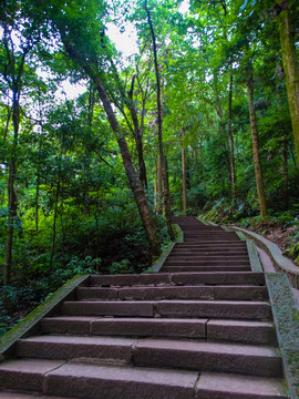 峨眉山石台阶