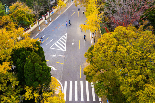 青岛八大关