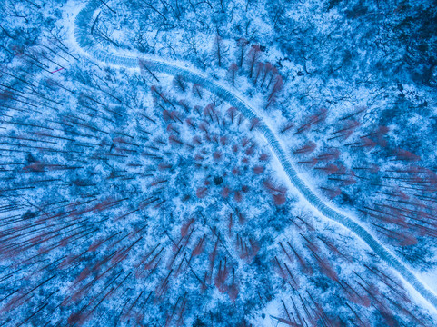 崂山雪景