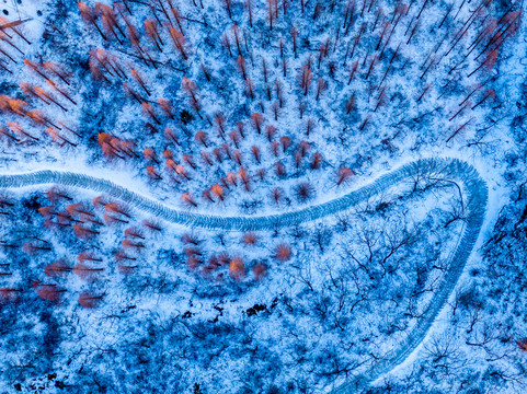 崂山雪景