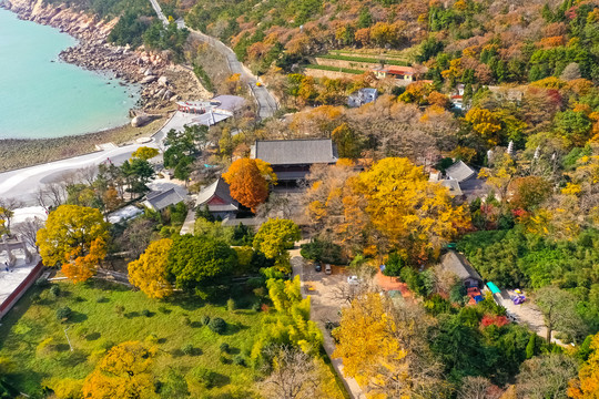 崂山太清宫