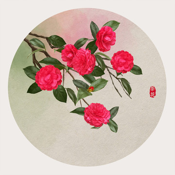 手繪茶花
