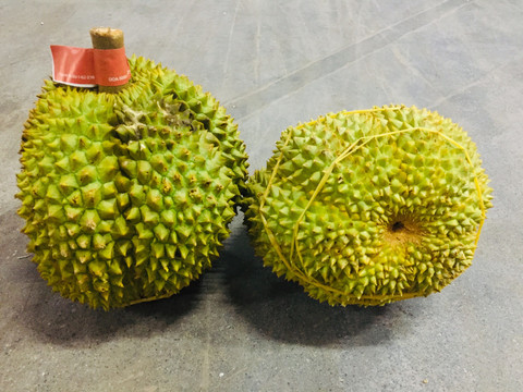 甲侖榴蓮