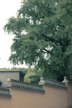 舟山市普陀山风景