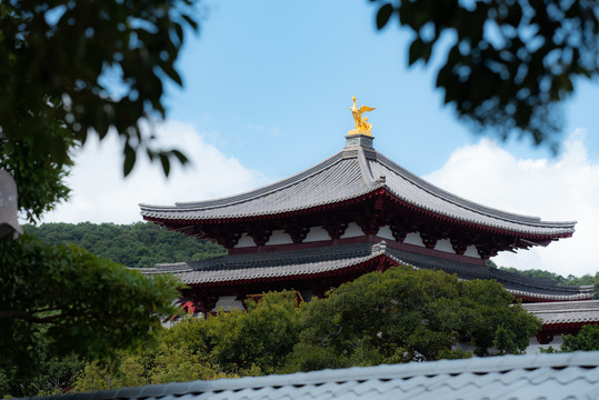 舟山市普陀山风景