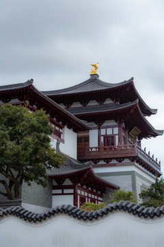 舟山市普陀山风景