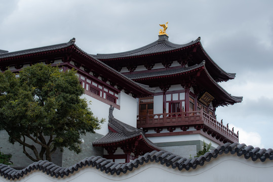 舟山市普陀山风景