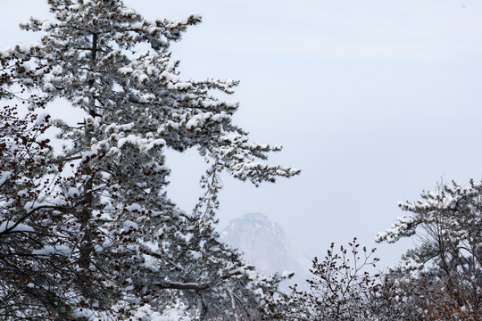 陕西华山风景