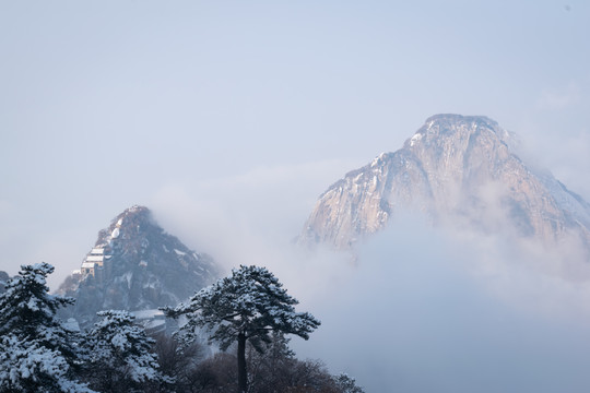 陕西华山风景