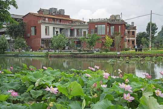 山水新农村