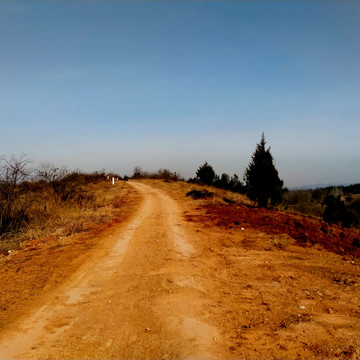 一条黄土山路