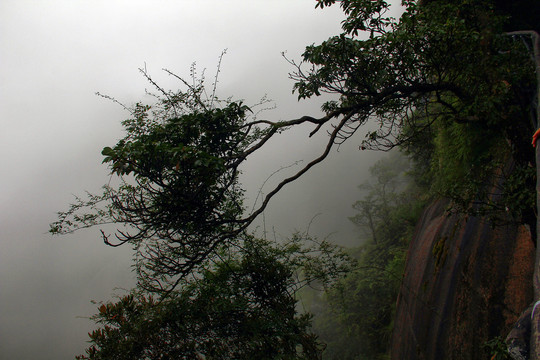 三清山