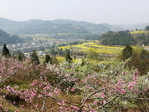 春花烂漫