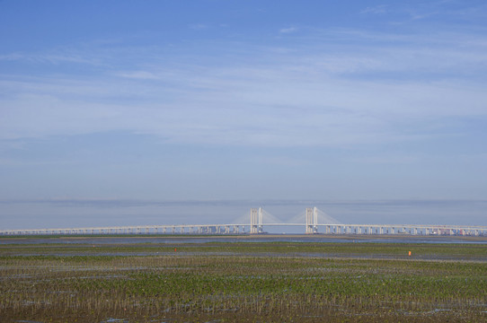 泉州湾红树林湿地