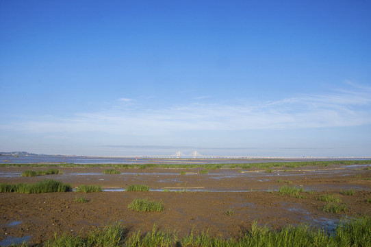 泉州湾湿地滩涂景观